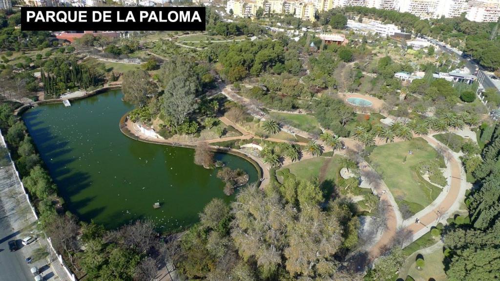 Estudio Benalbeach Primera Linea De Playa Benalmadena Bagian luar foto