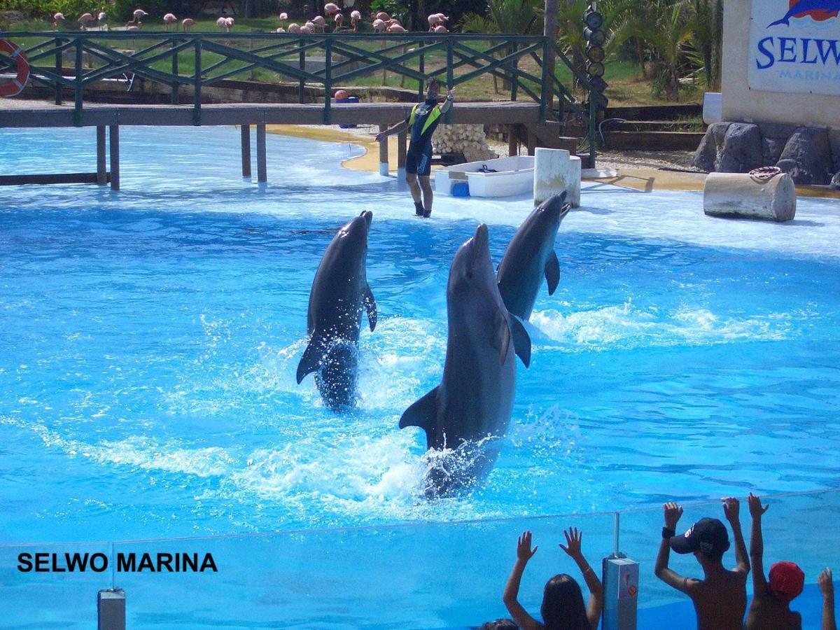 Estudio Benalbeach Primera Linea De Playa Benalmadena Bagian luar foto